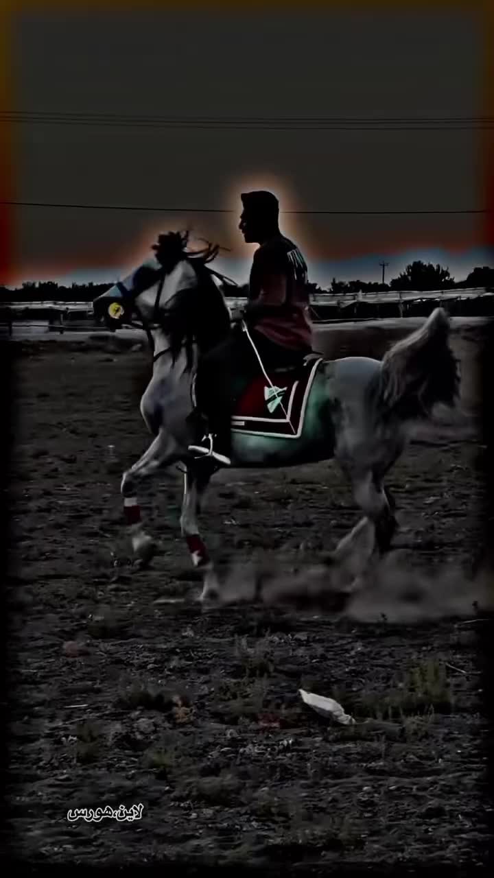 @⫸𝙈𝙞𝙍𝙯𝘼✫𝙎𝙖𝙍𝙆𝙖𝙍✫⫷