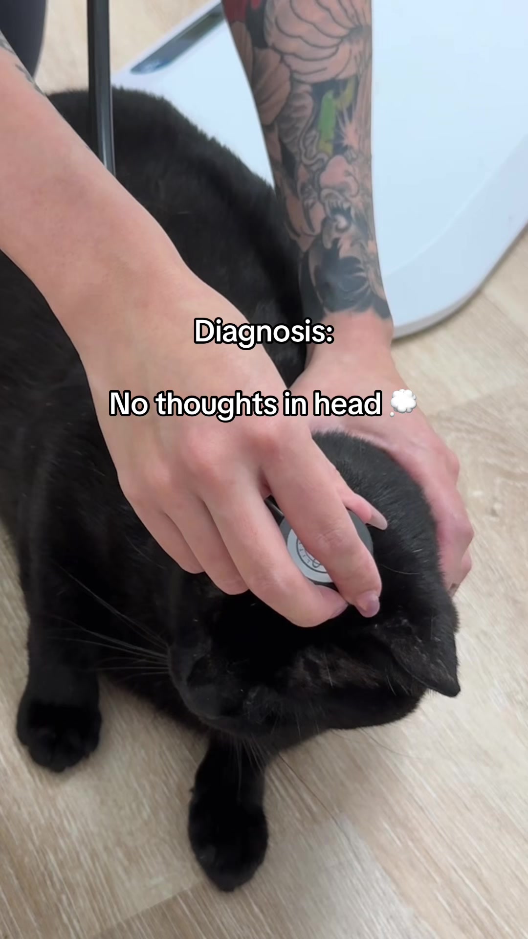@Deanna | ATL Animal Rescue 🖤