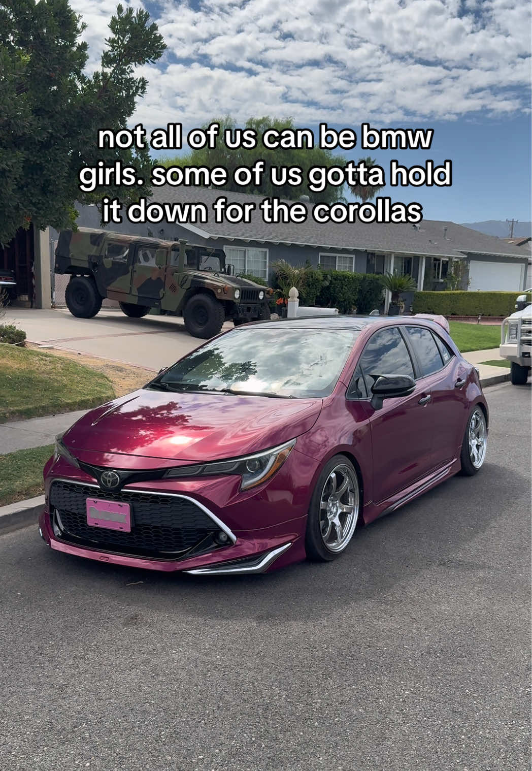 @wnt2bevo