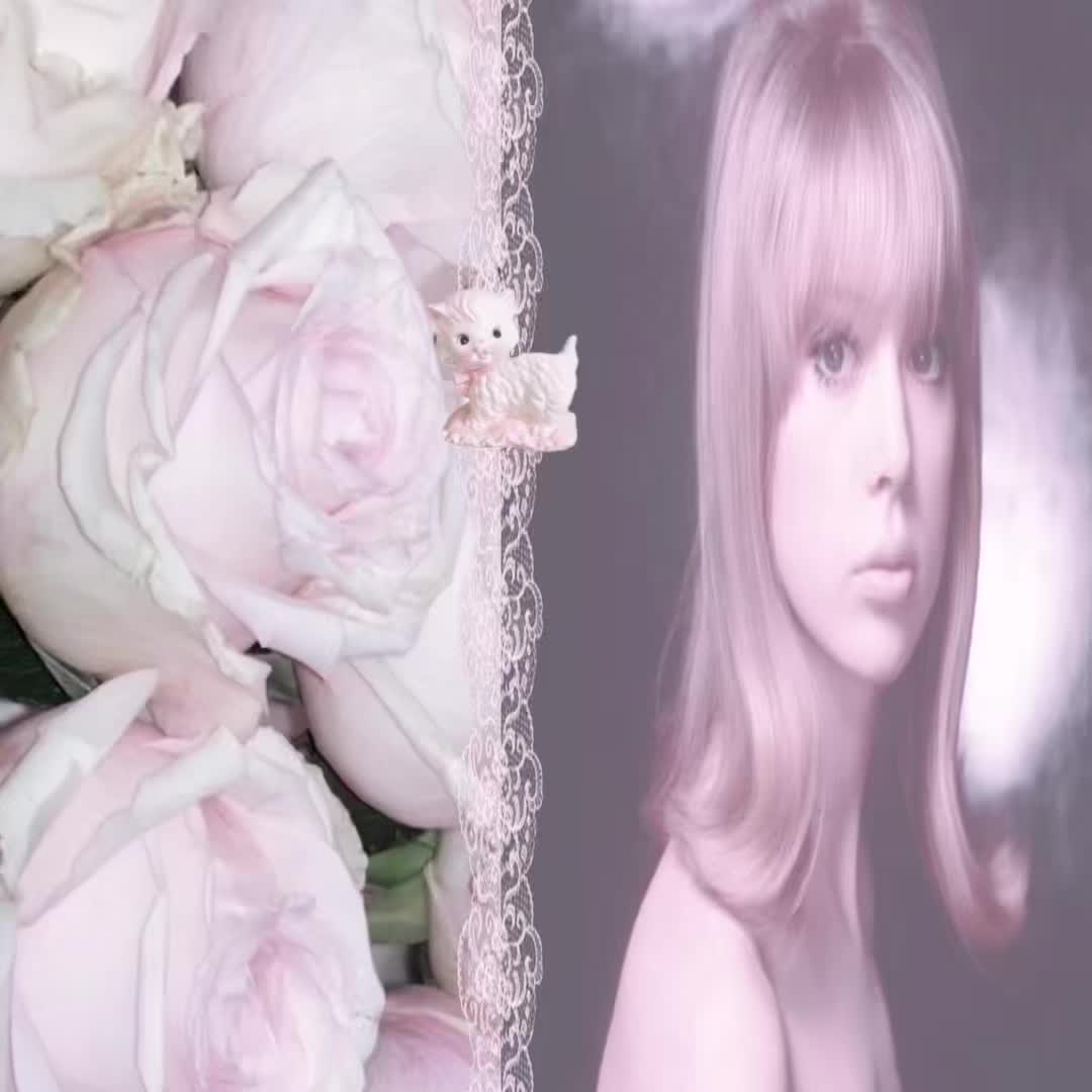 @。˚ ౨ৎ 🎞️ 🩰 ౨ৎ ⋆。