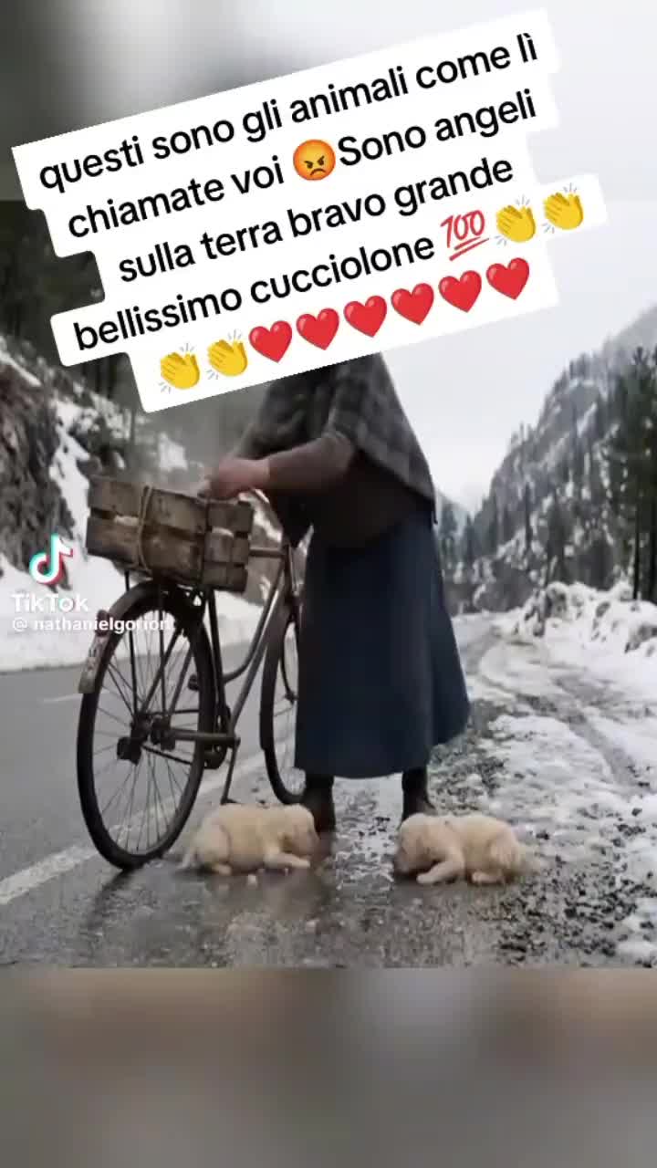 @concetta