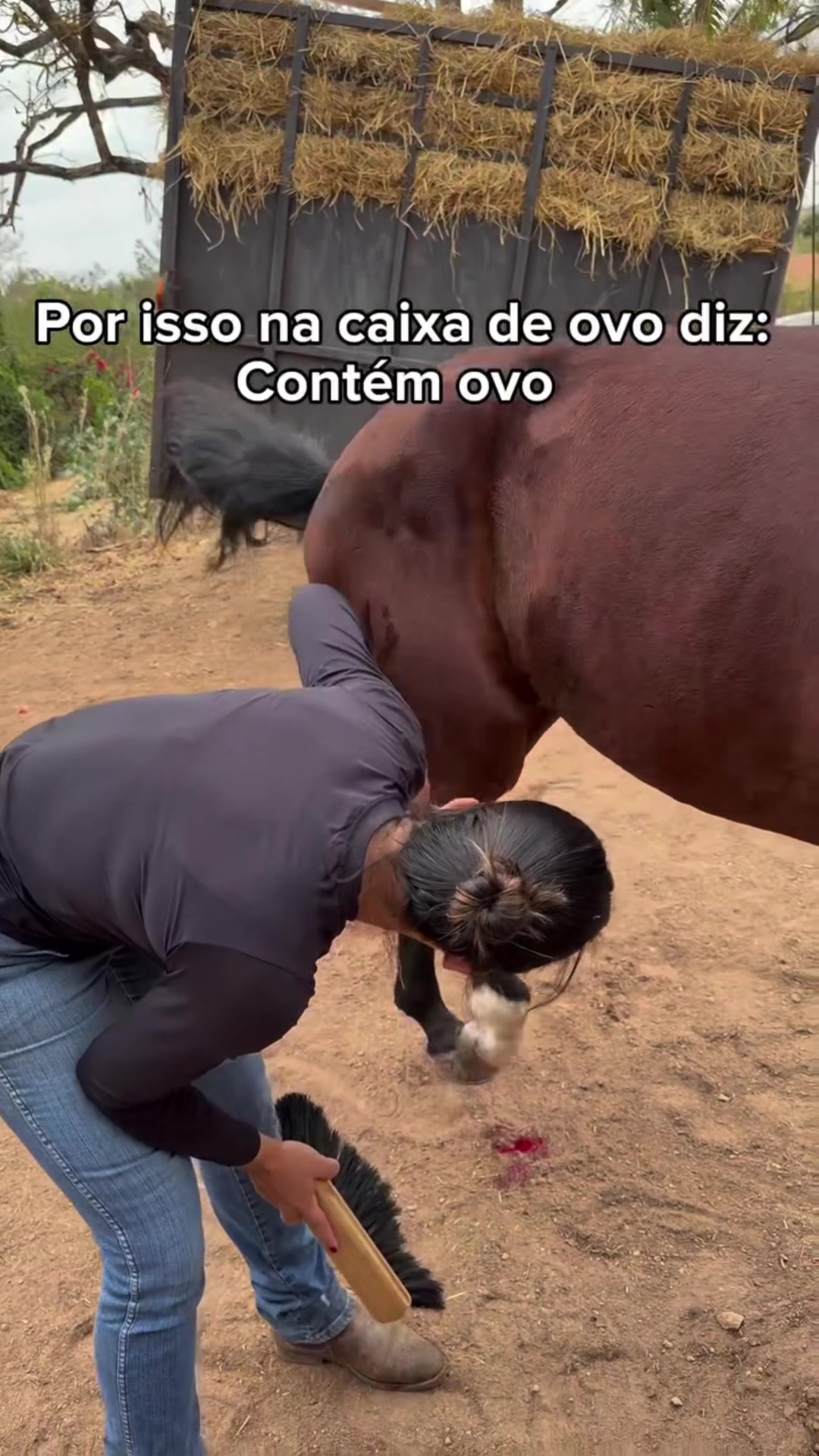 @ibewapp