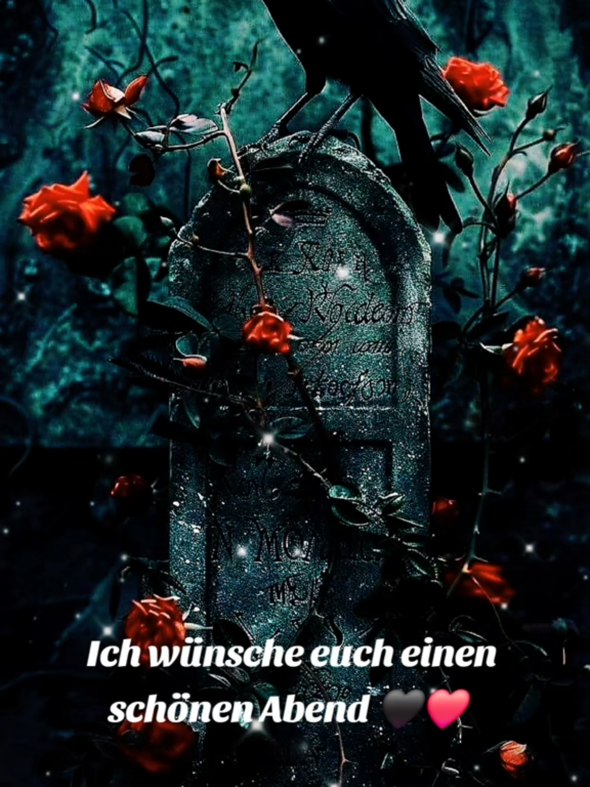 @Sonnenschein76🌞♥️