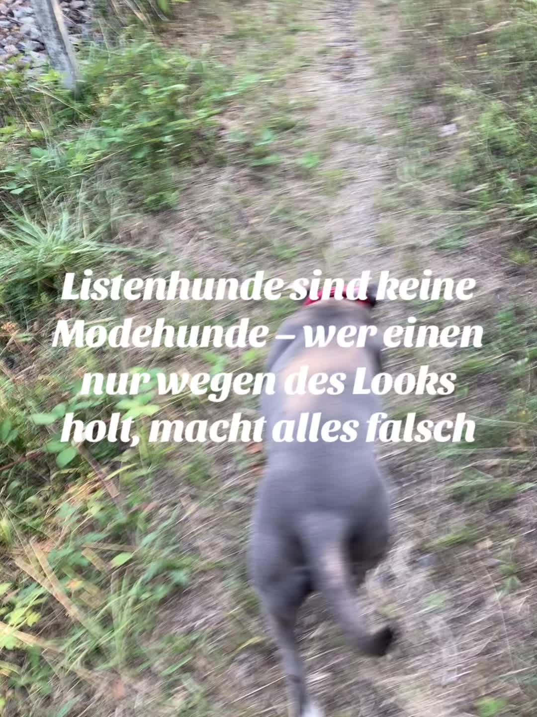 @MeinHundIstKeinVerbrecher