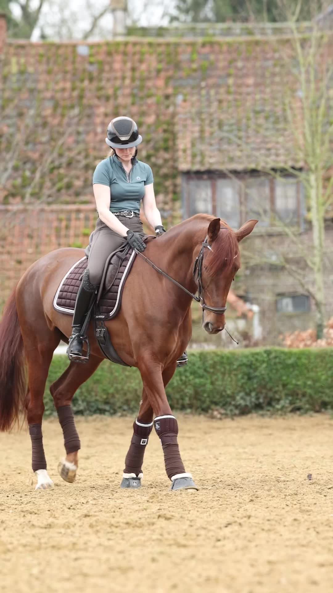 @Montar Benelux