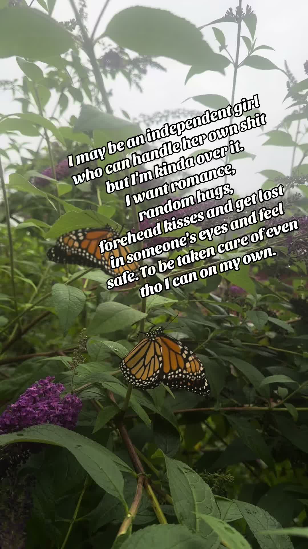 @_bonesnbutterflies_