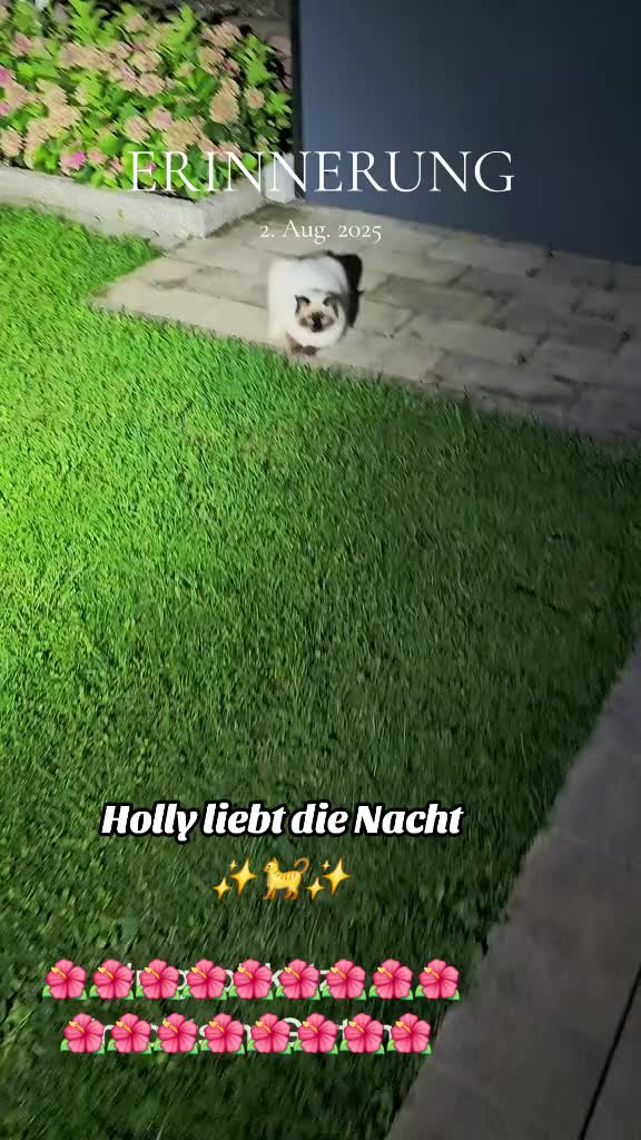 @Natalie 💞