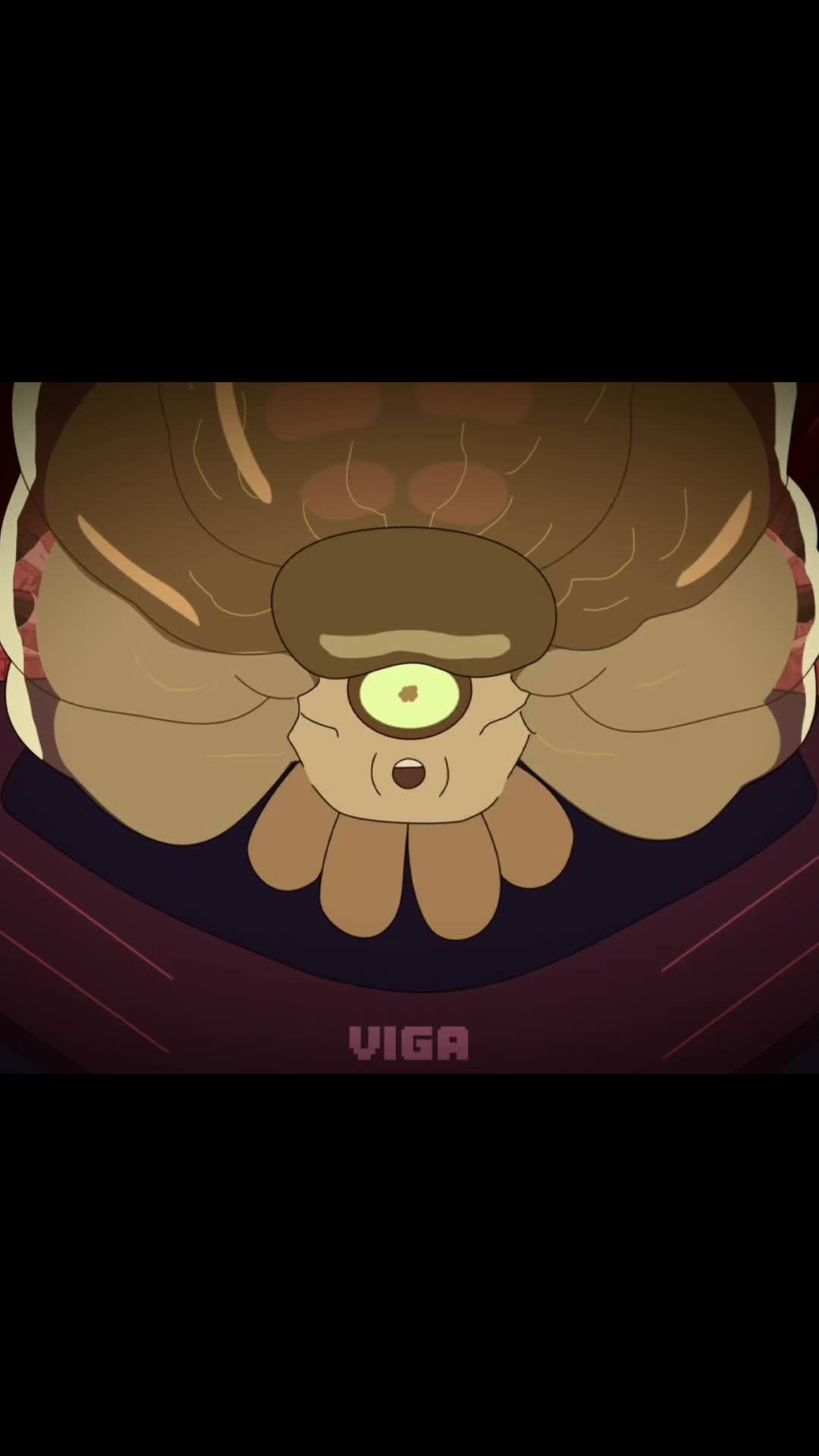 @viga