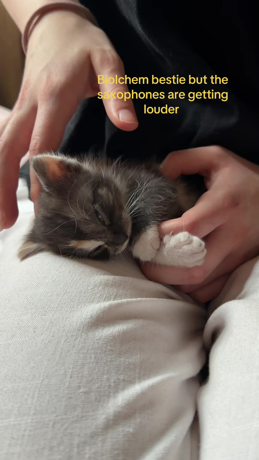 @𝘦𝘭𝘪𝘻𝘢🐅
