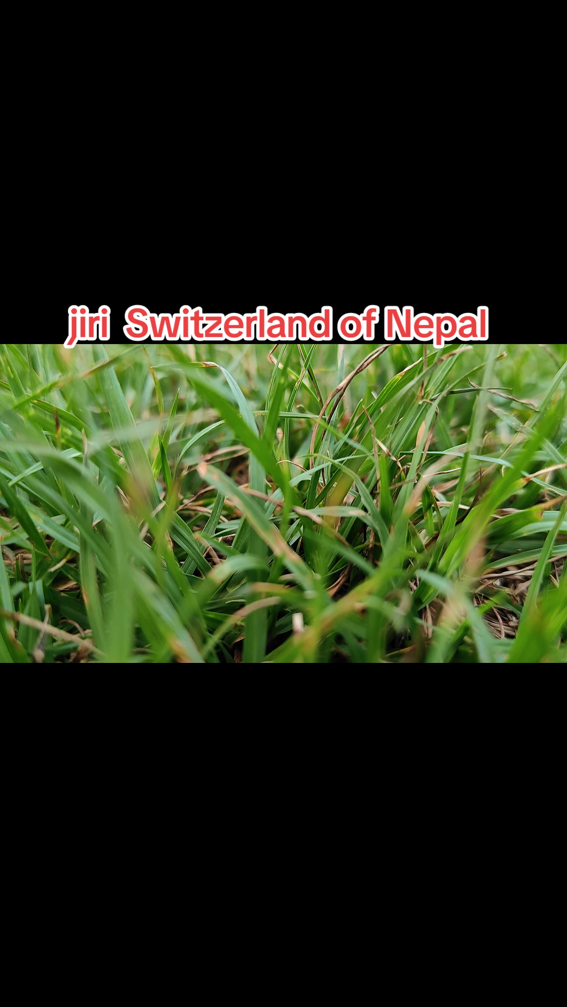 @Umesh basnet