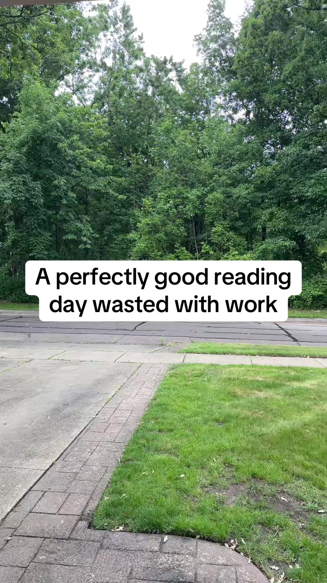 @My Spicy Corner 🌶️📚