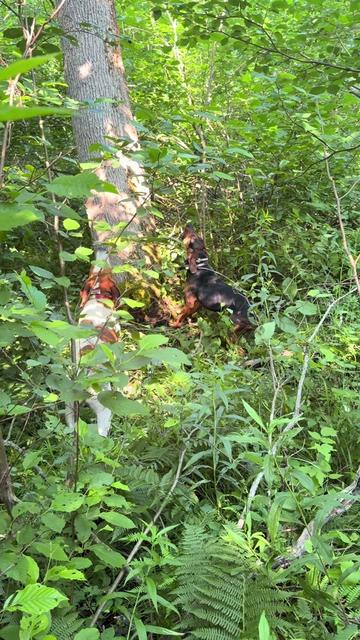 @Tri-County Outdoors