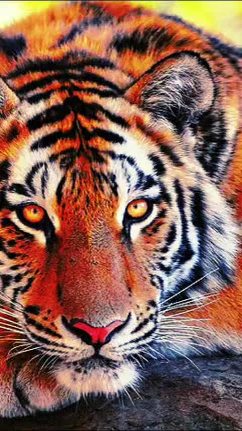 @Awesome!