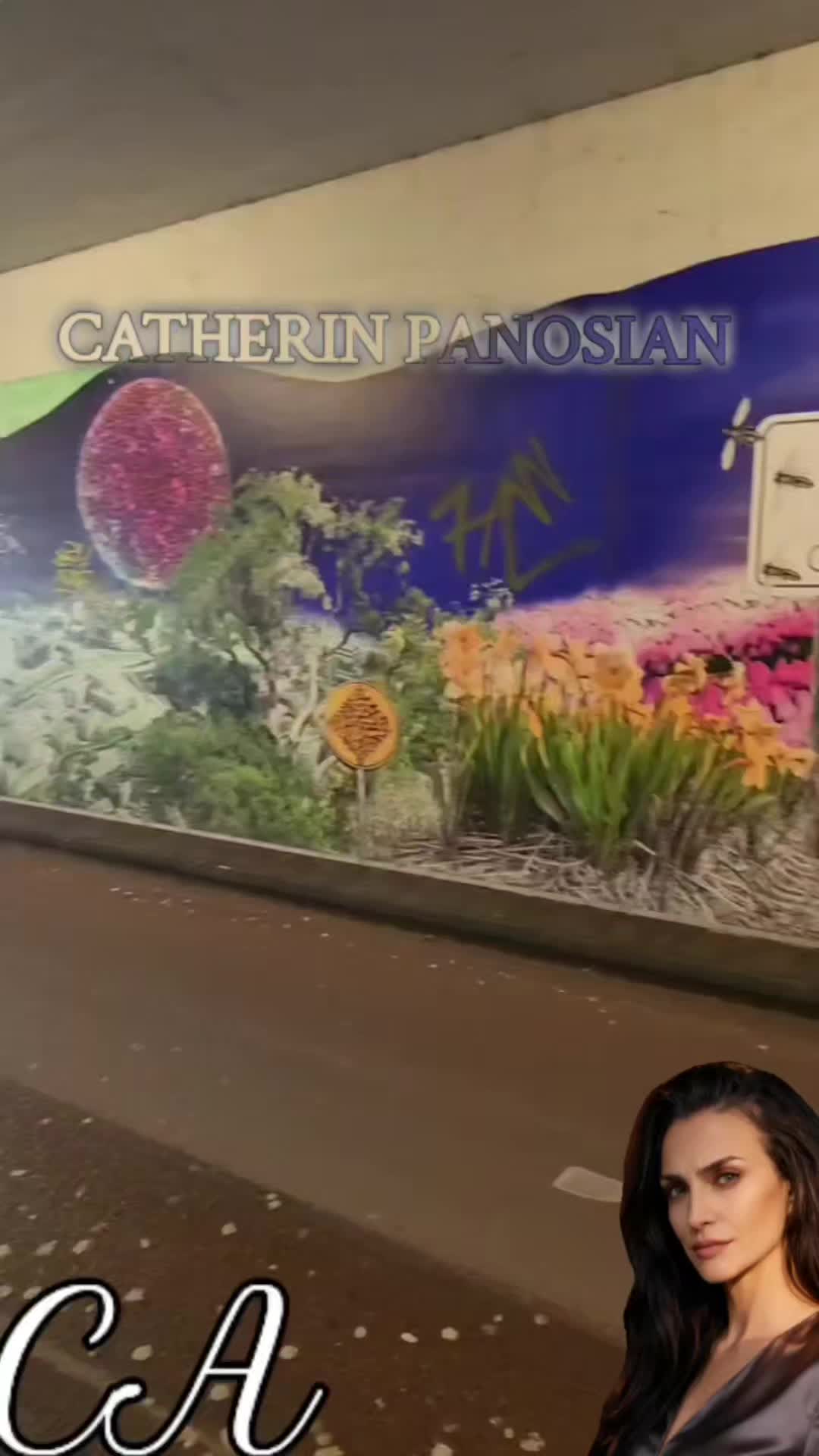 @CATHERIN PANOSIAN