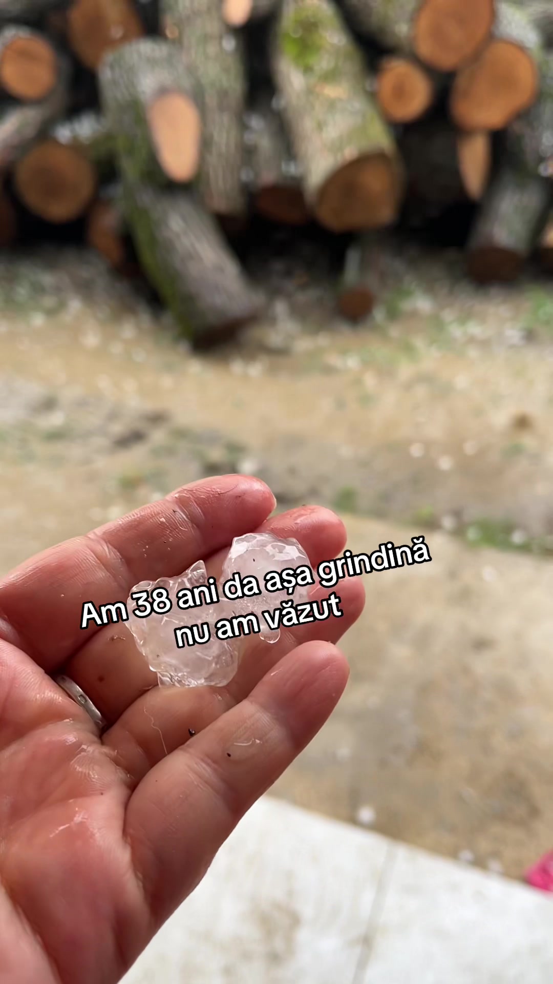 @Cristina Manea