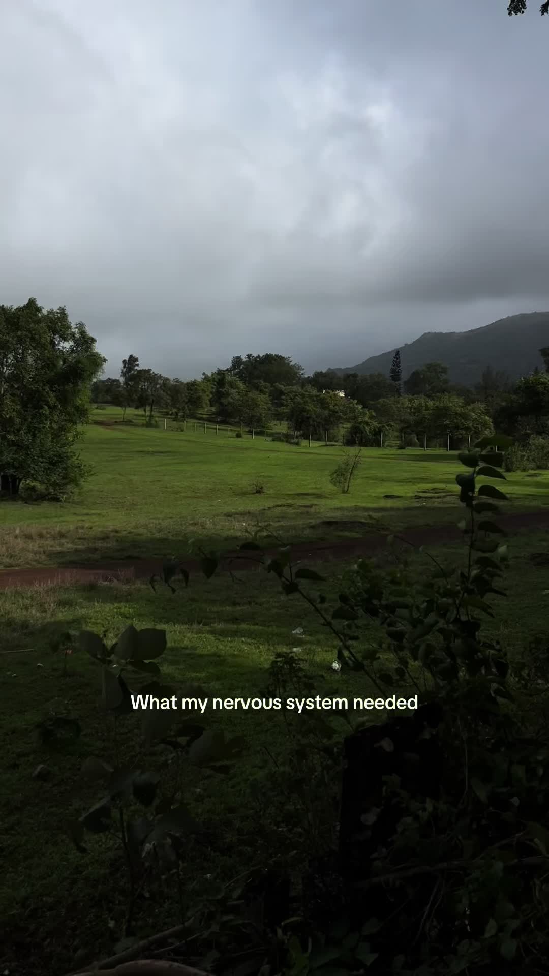 @yashvisangoiii