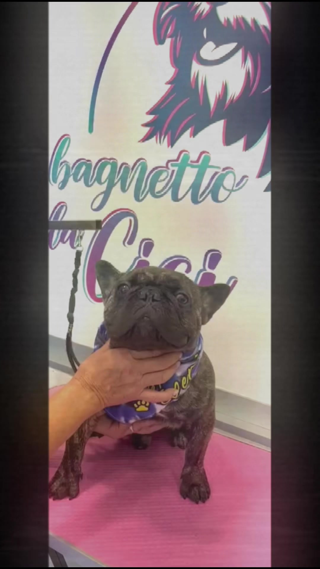 @Il bagnetto da Cici