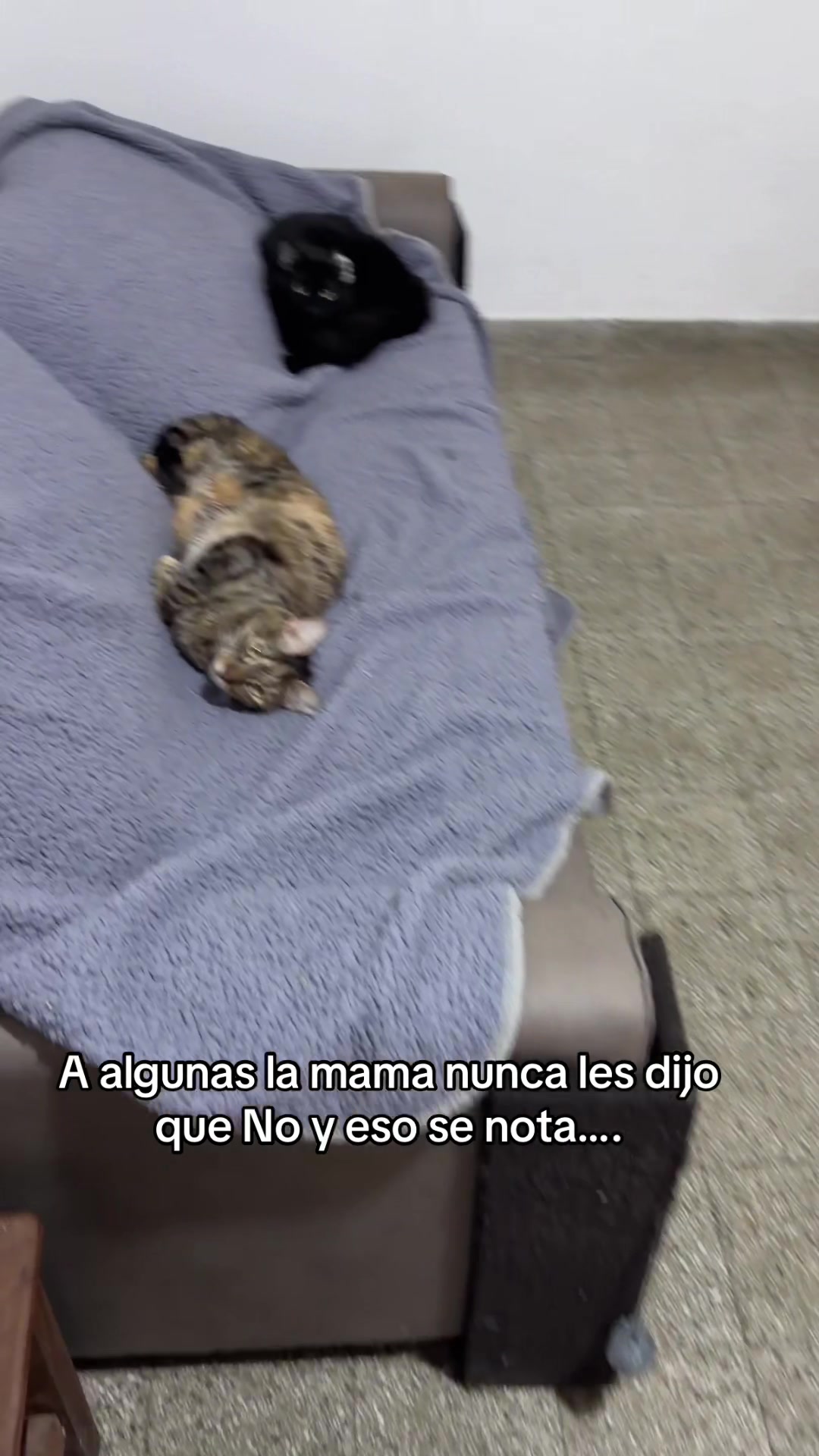 @Adriana Soledad Vazq