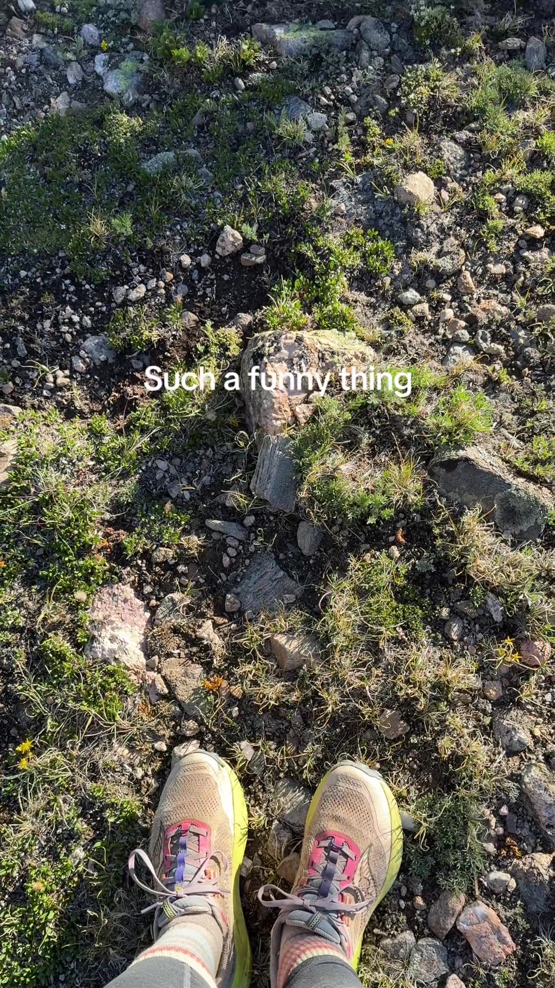 @bootsandskeins