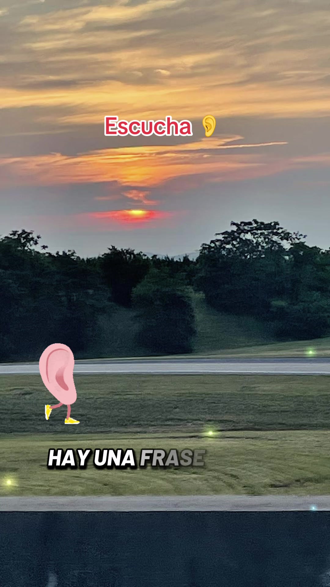 @🫂🐾🇻🇪♉️Masiel🫶 ⩜⃝🌈🦩