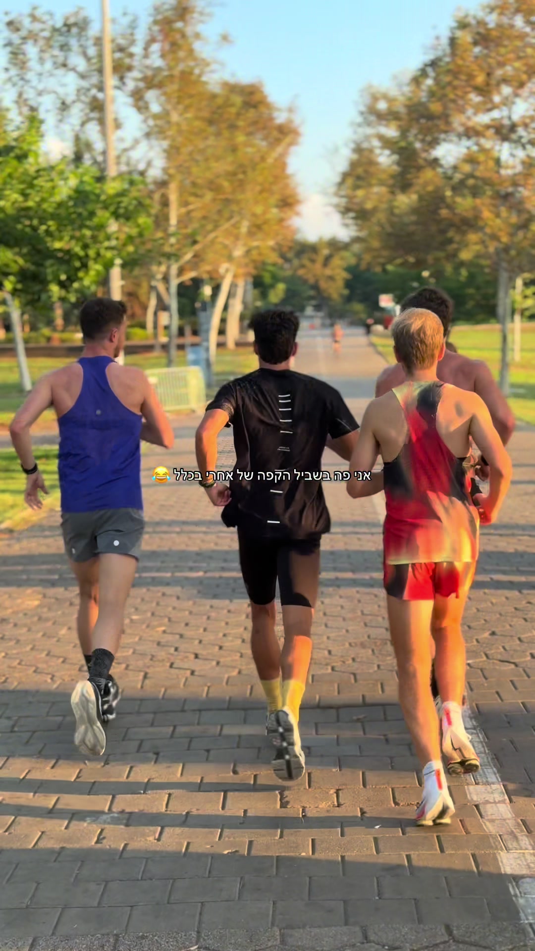 @talavidan_runner