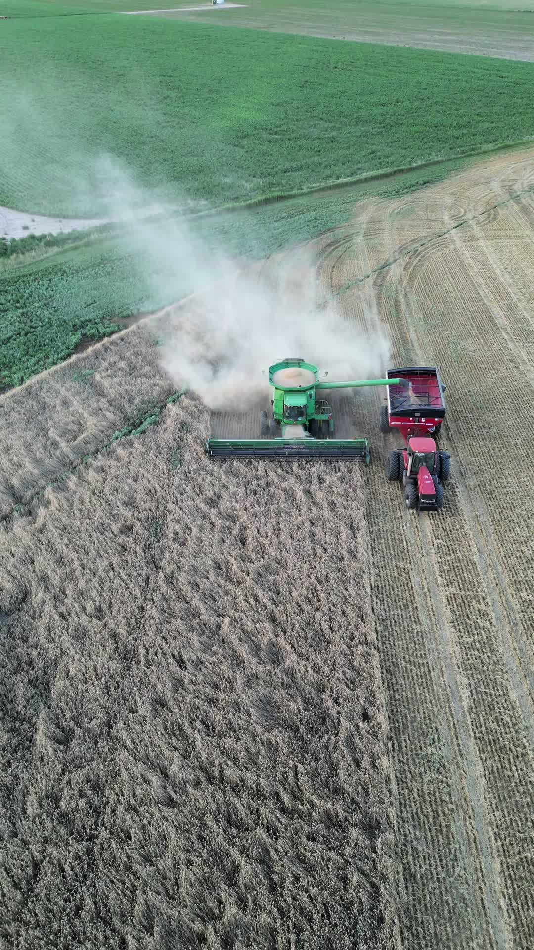 @Farming Texas