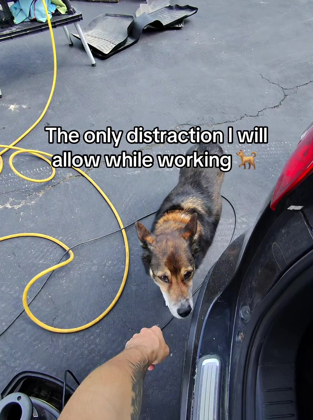 @optimumdetailsLLC