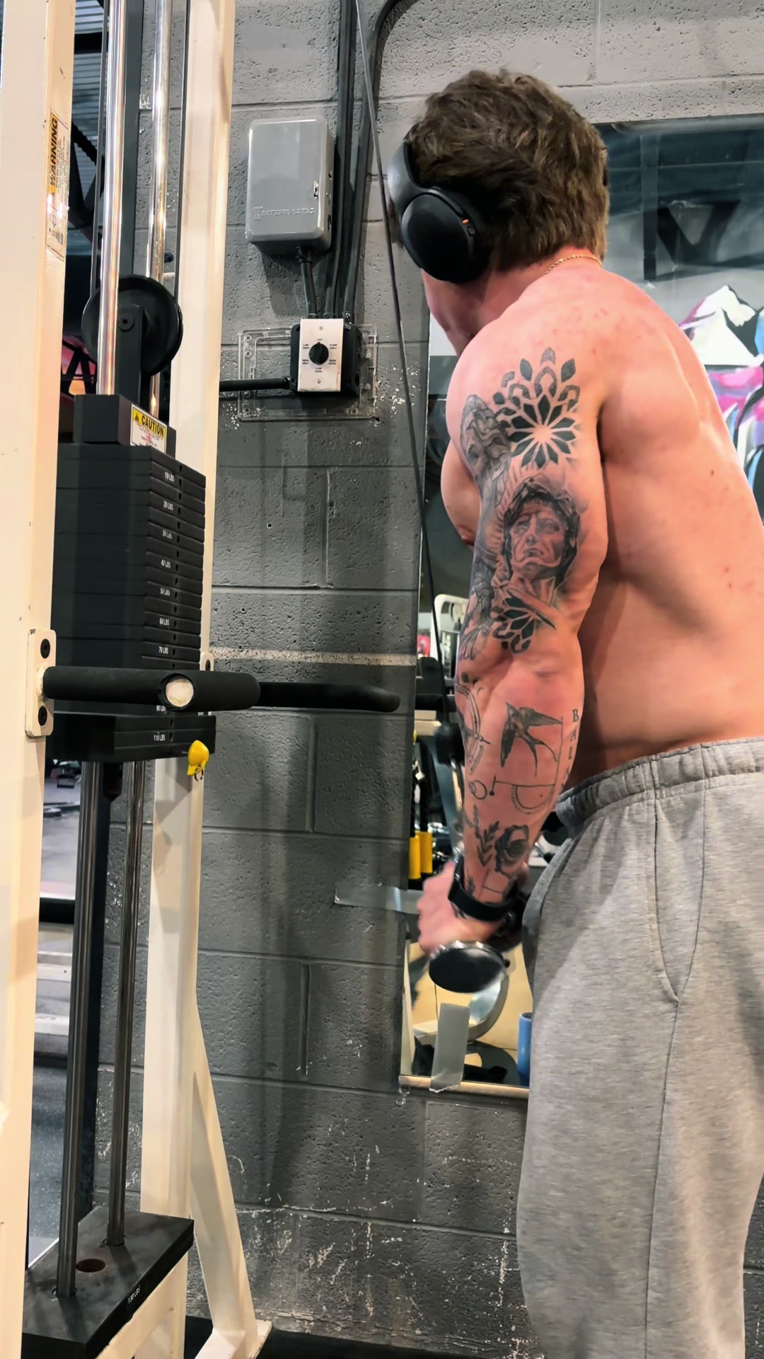 @AlexVanBfit2.0