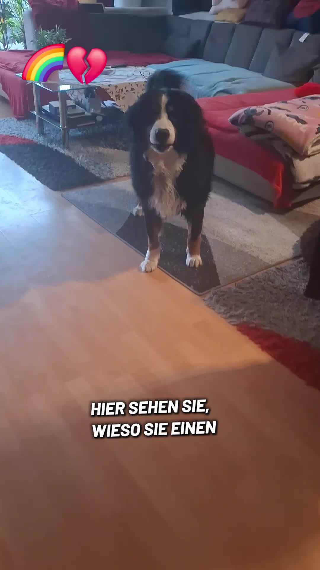 @Silkchen