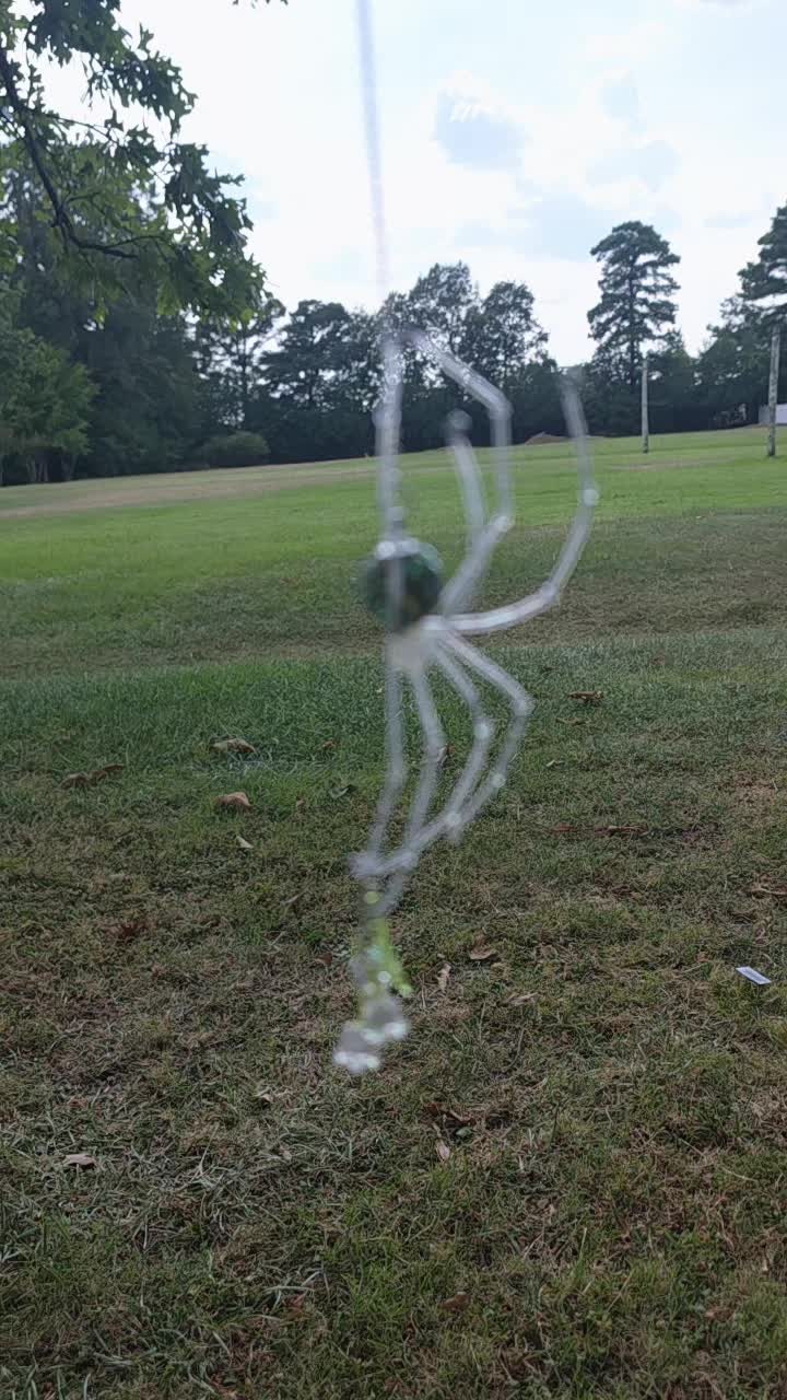 @The Spider Web