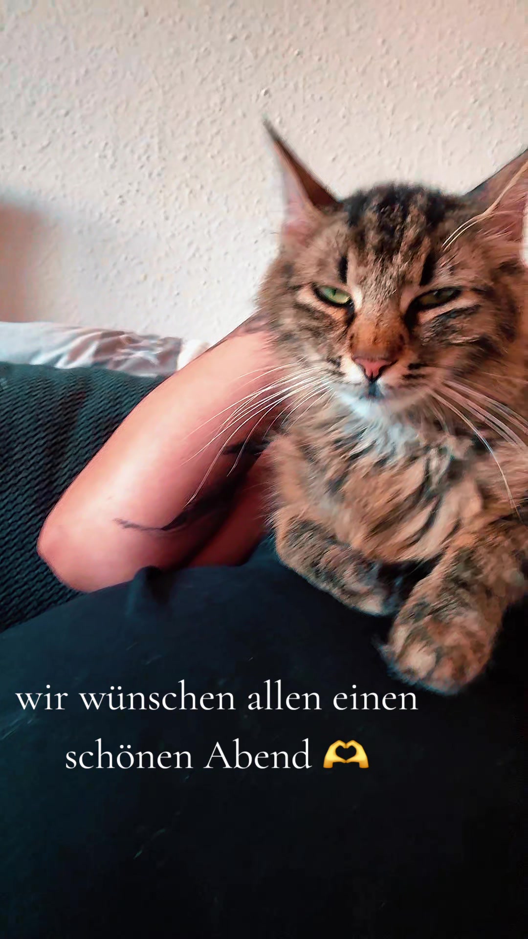 @Klausi24/7
