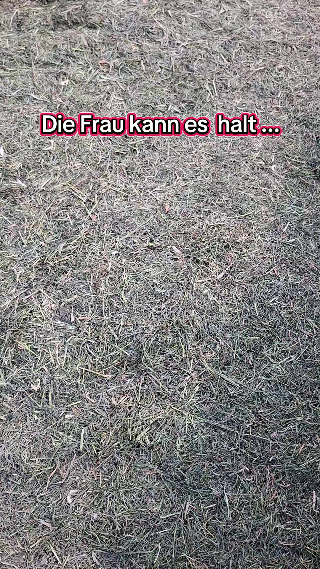 @Marco