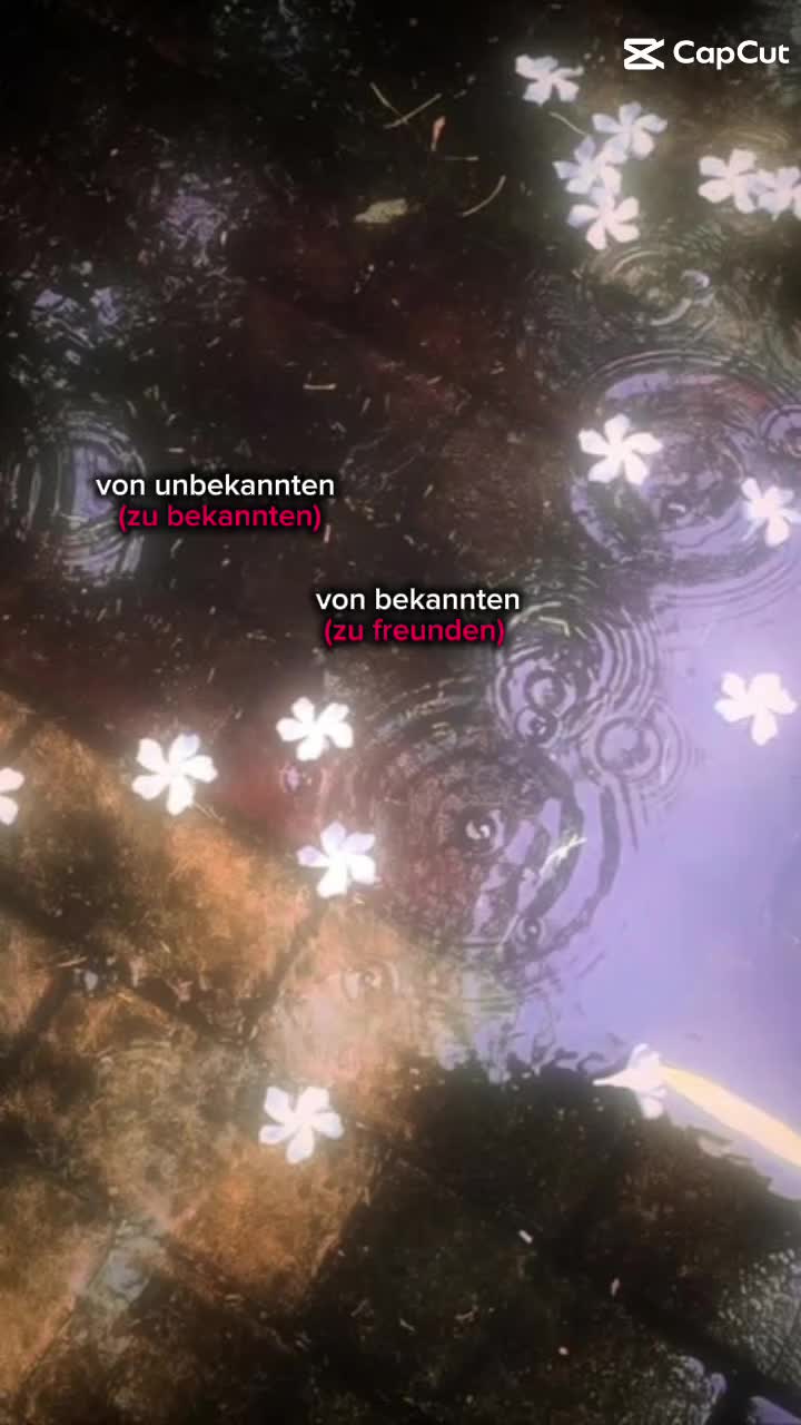 @Katarina + lucy