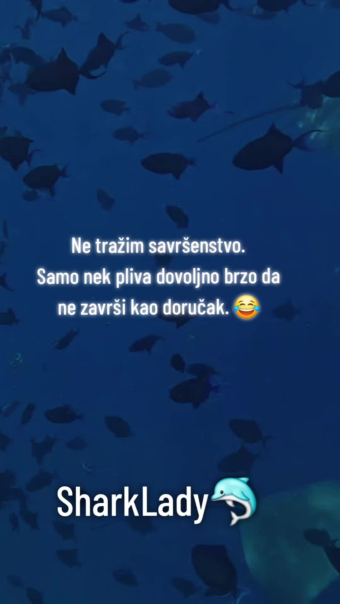 @⭐️solo igračica✈️ 🥇 ®️