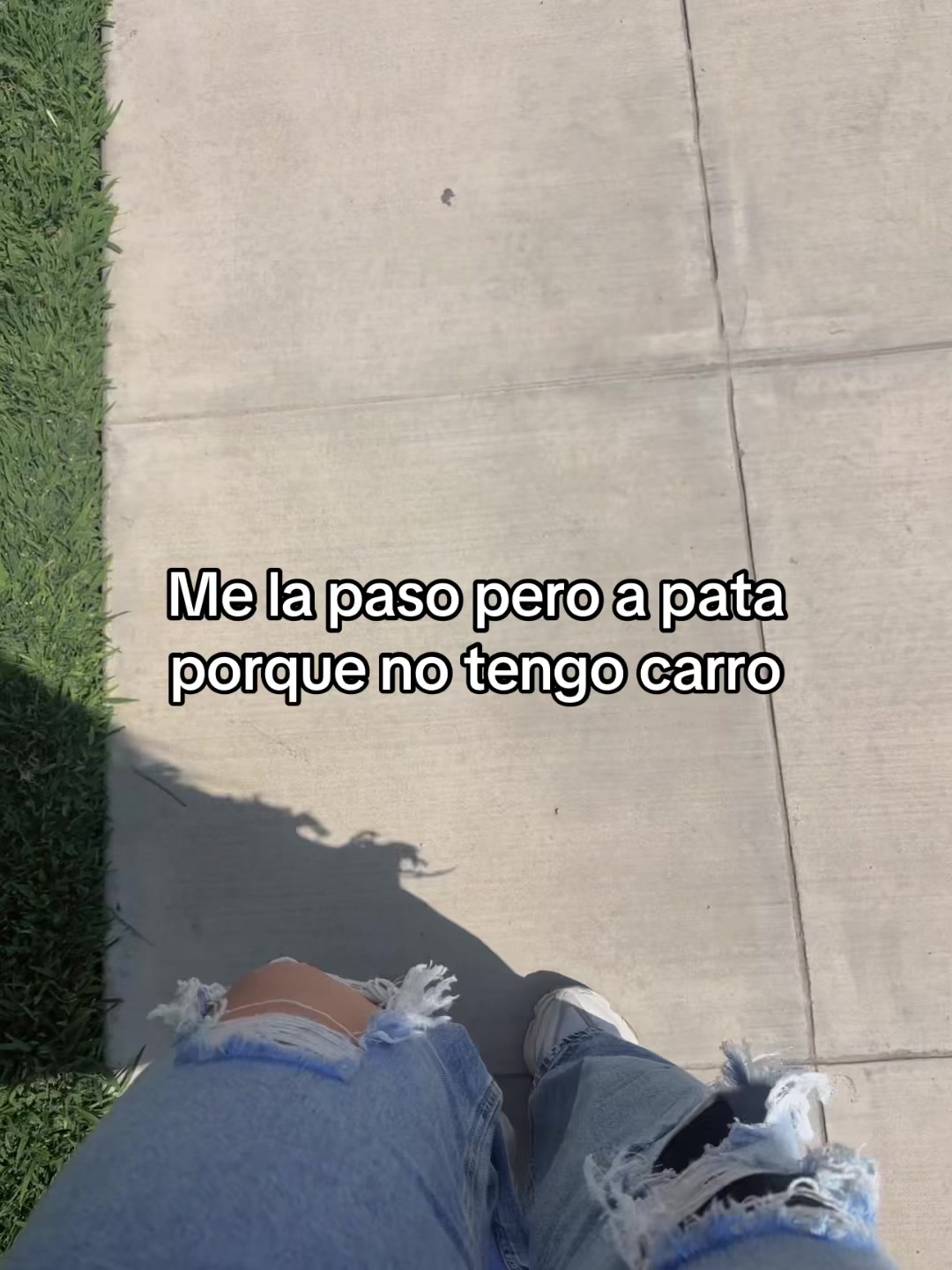 @daniela beltran