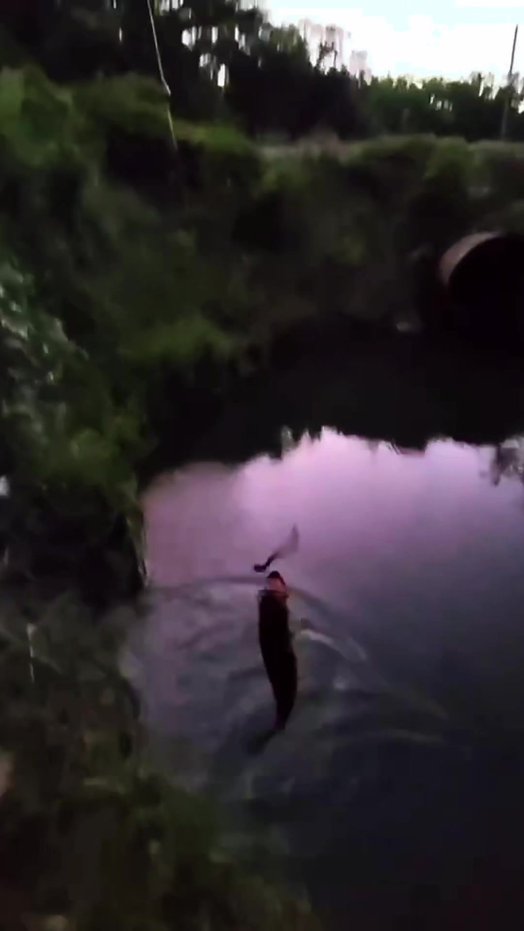 @Orange.Fishing