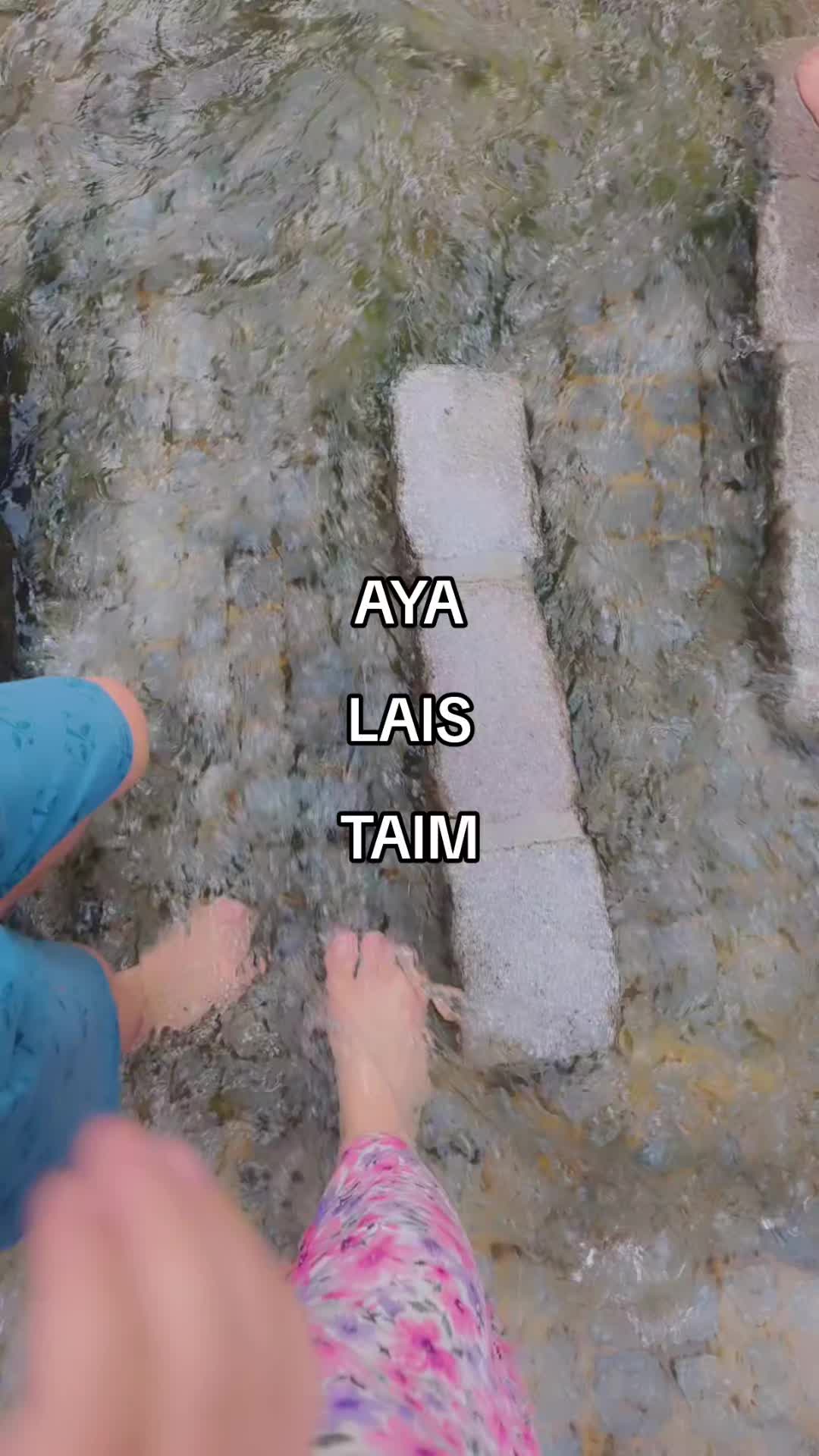 @Aya Zaghal