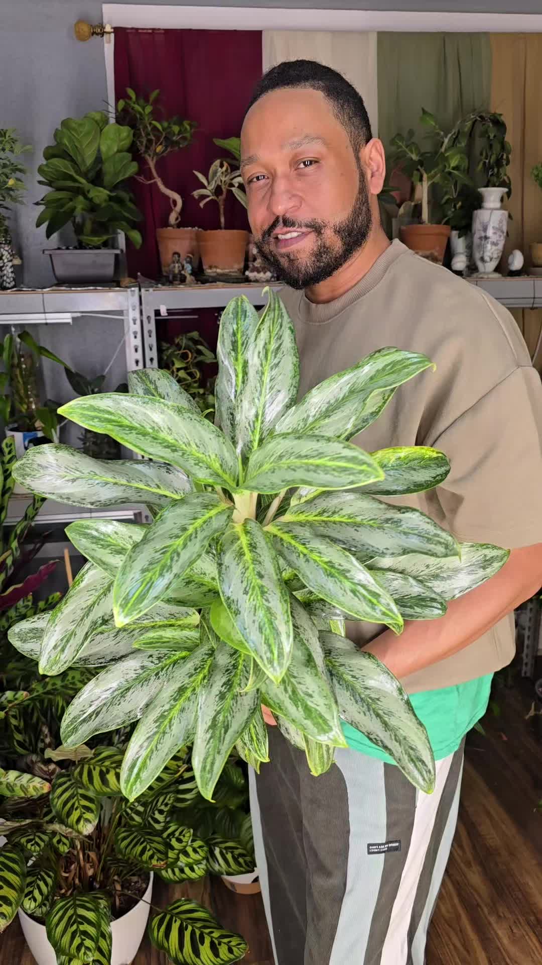 @JT - BigEGOPlants