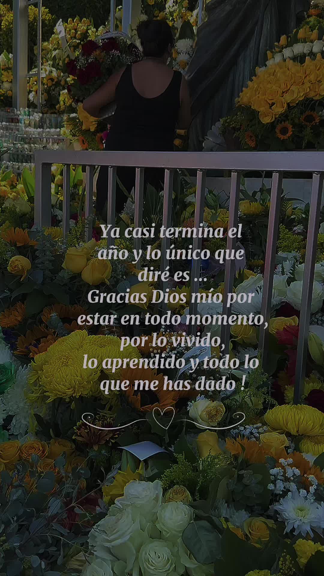 @Yis Diaz
