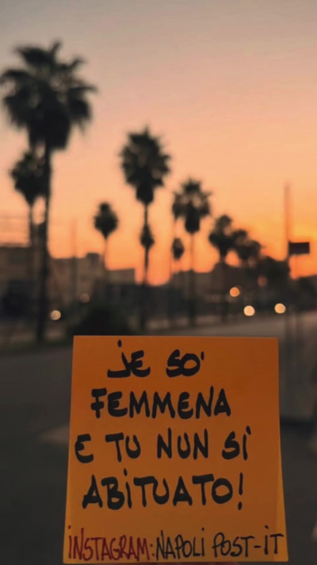 @〽️elania&copy;️ontini