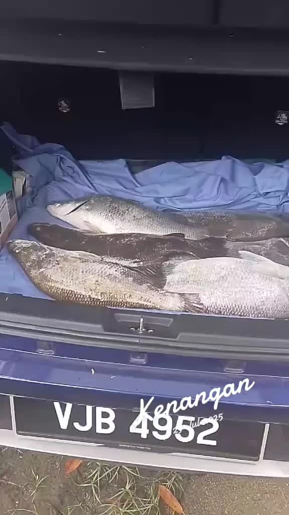@Aku CikUjang
