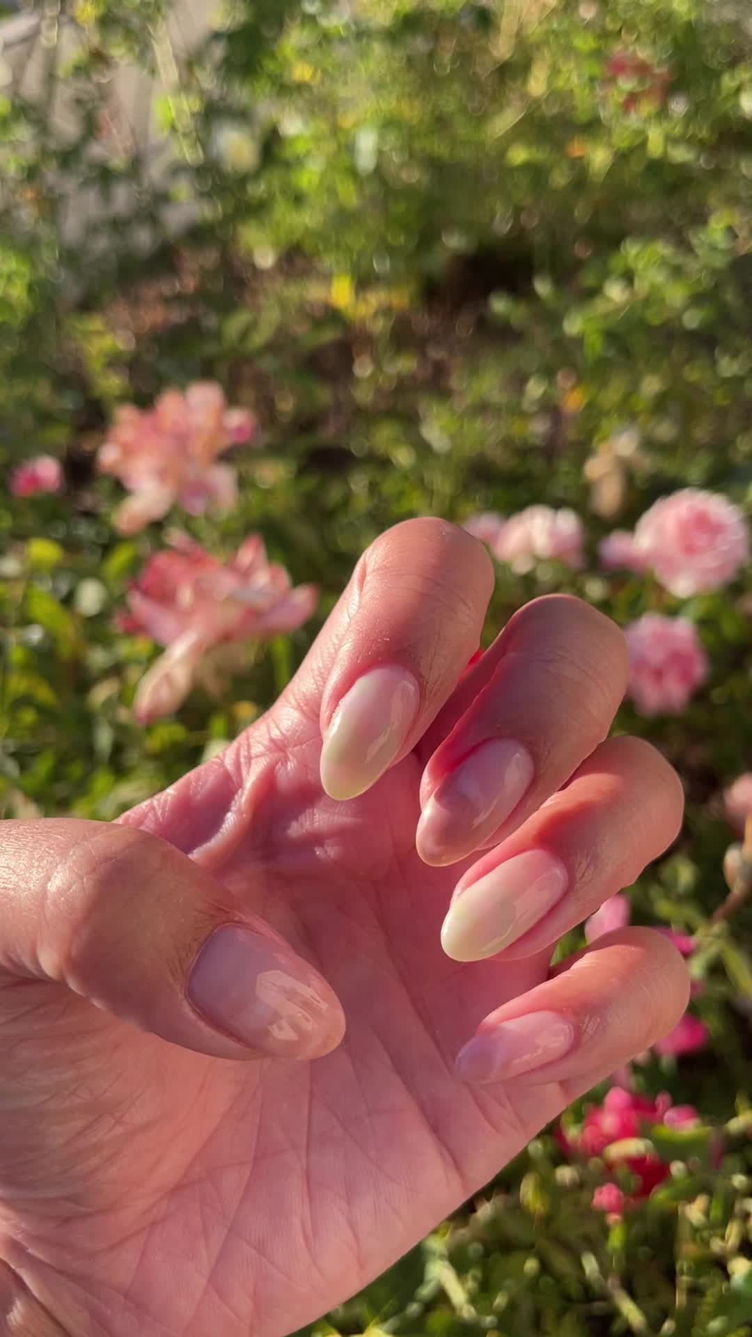@mirabella