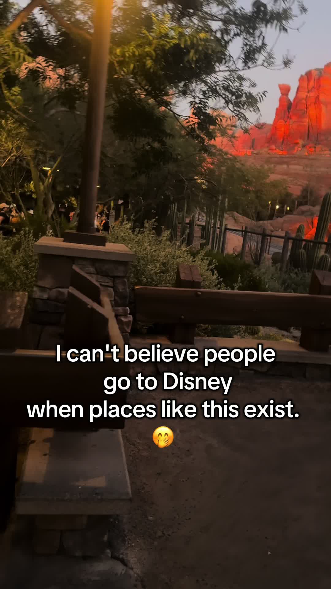 @Lilys_lovely_adventures