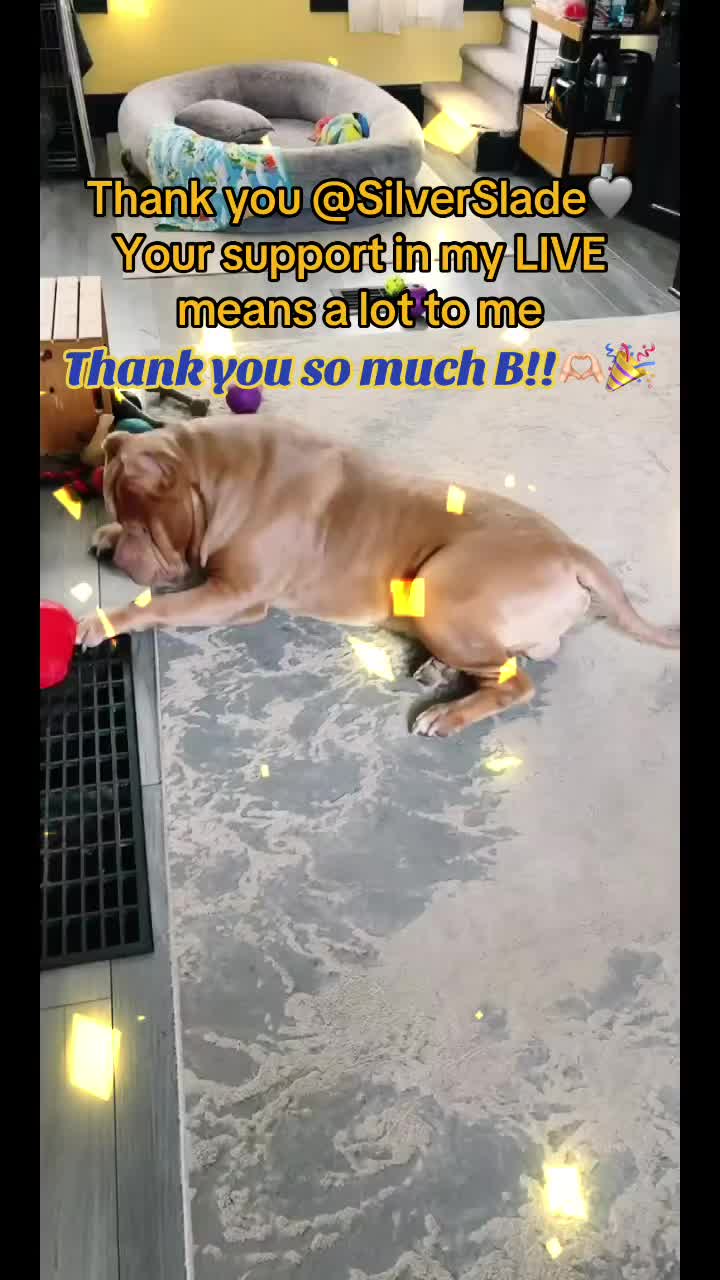@deannas_tiny_dinys🦖🥞