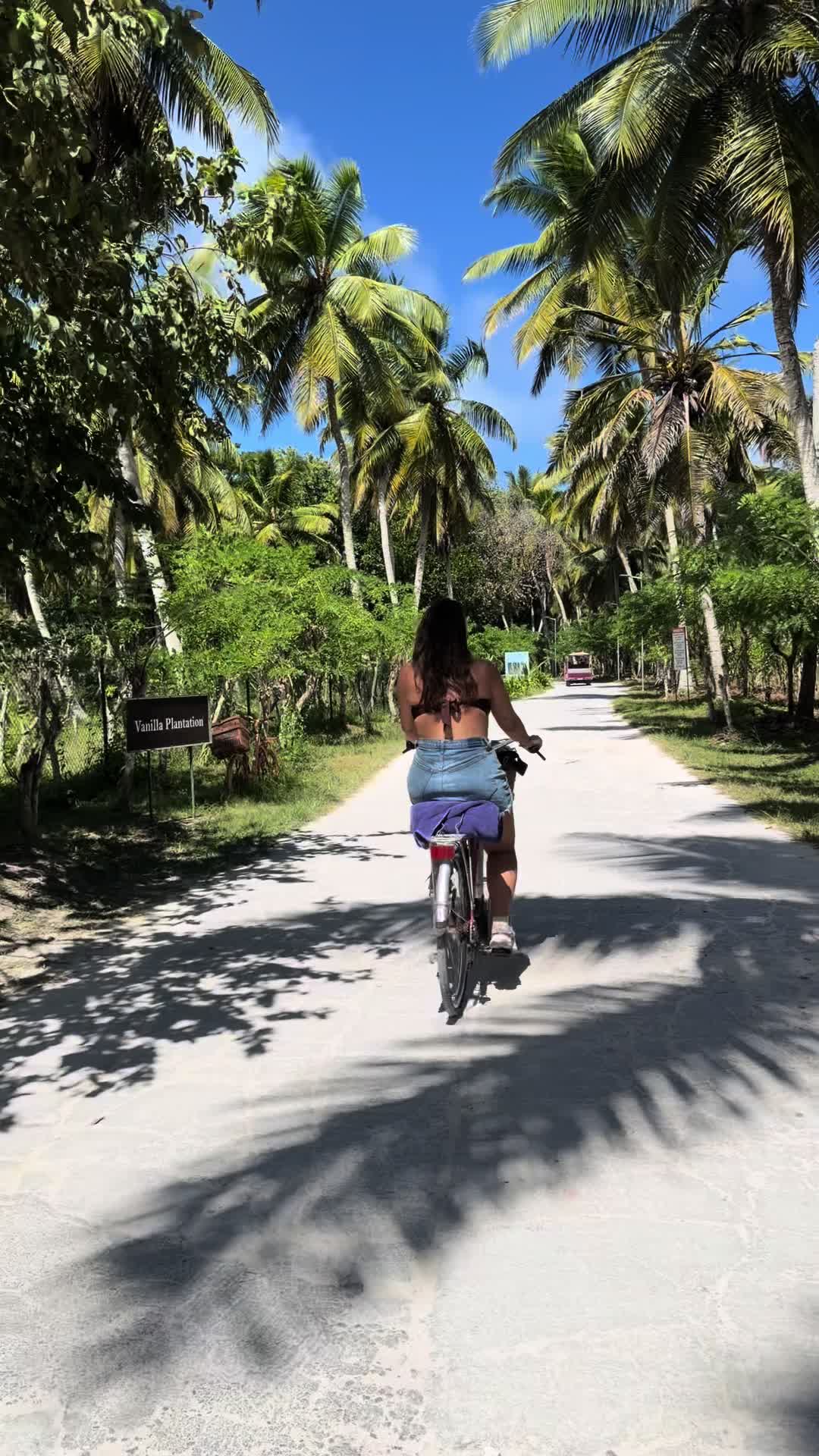 @Josephinelooten