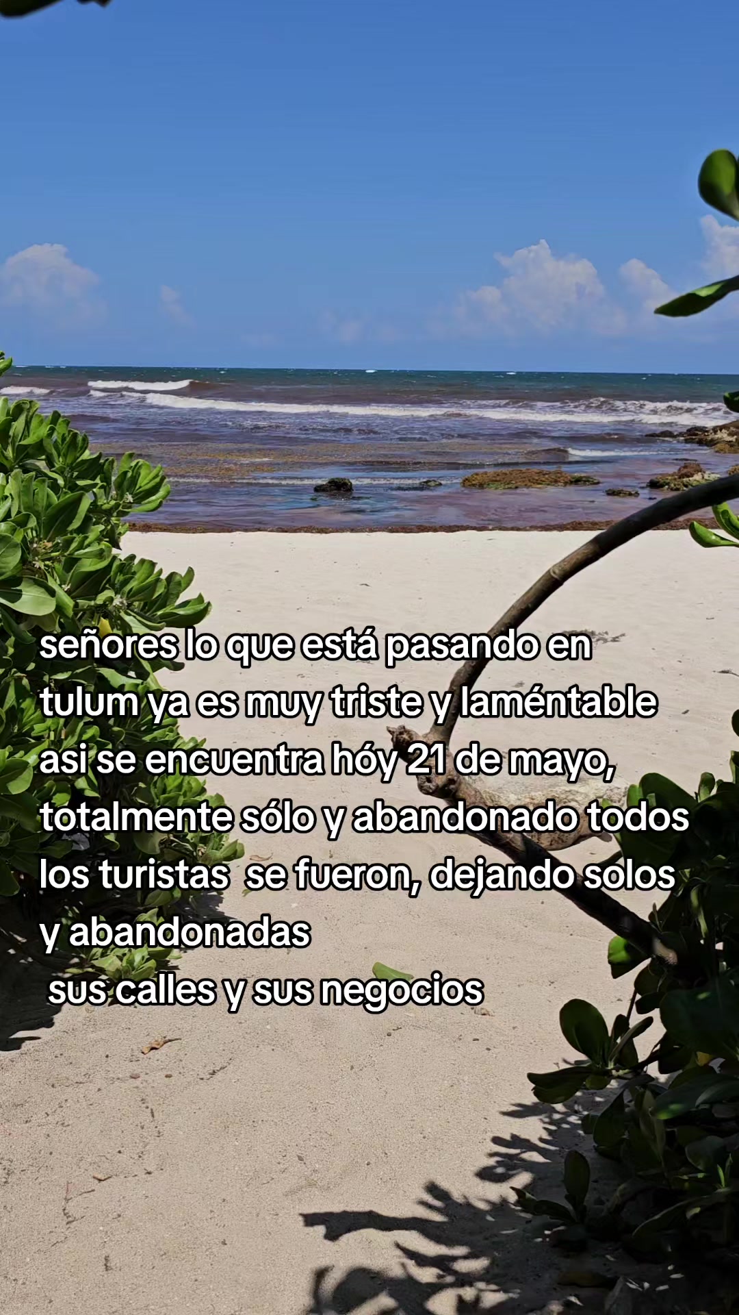 @el fantasma alerta