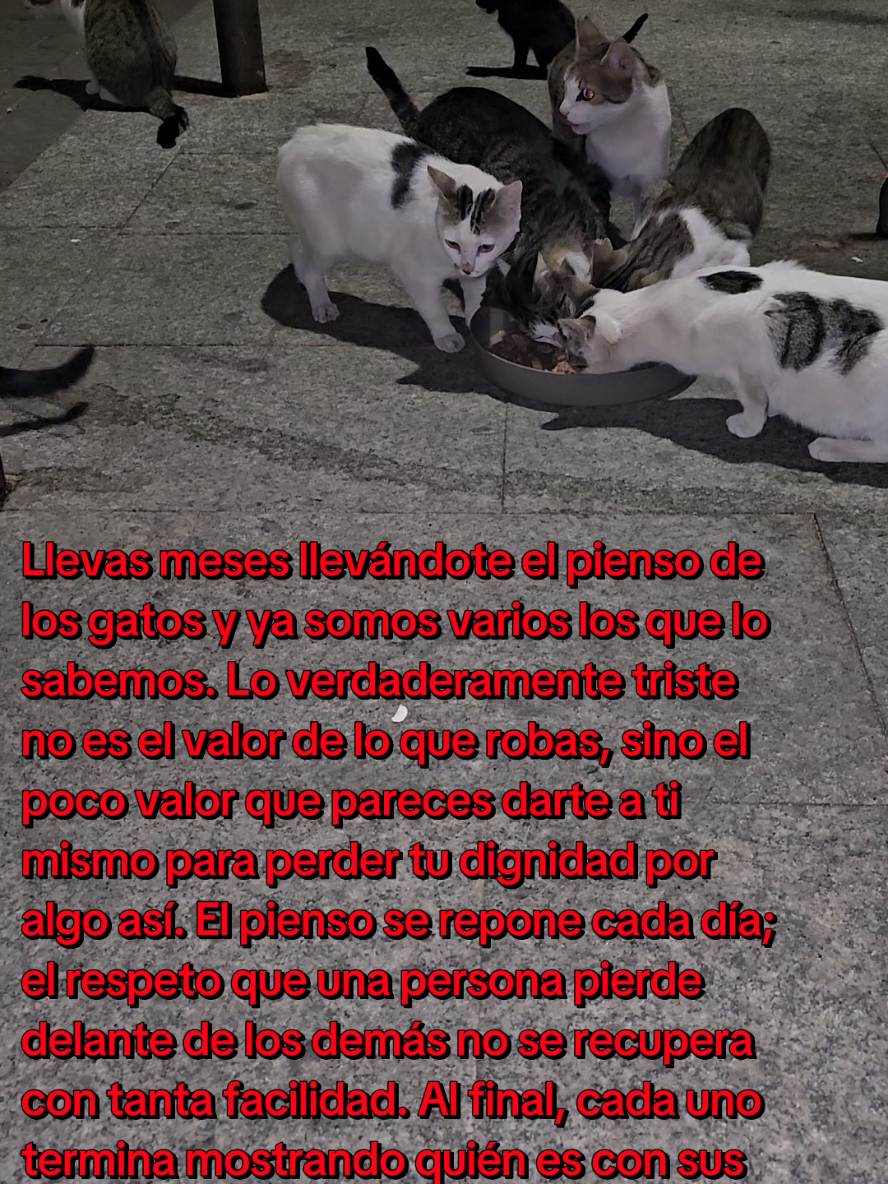 @garritasespaciales