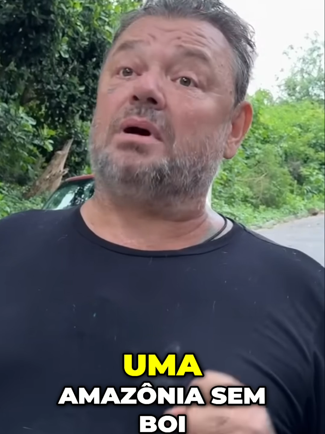 @TV Z7 BRASIL