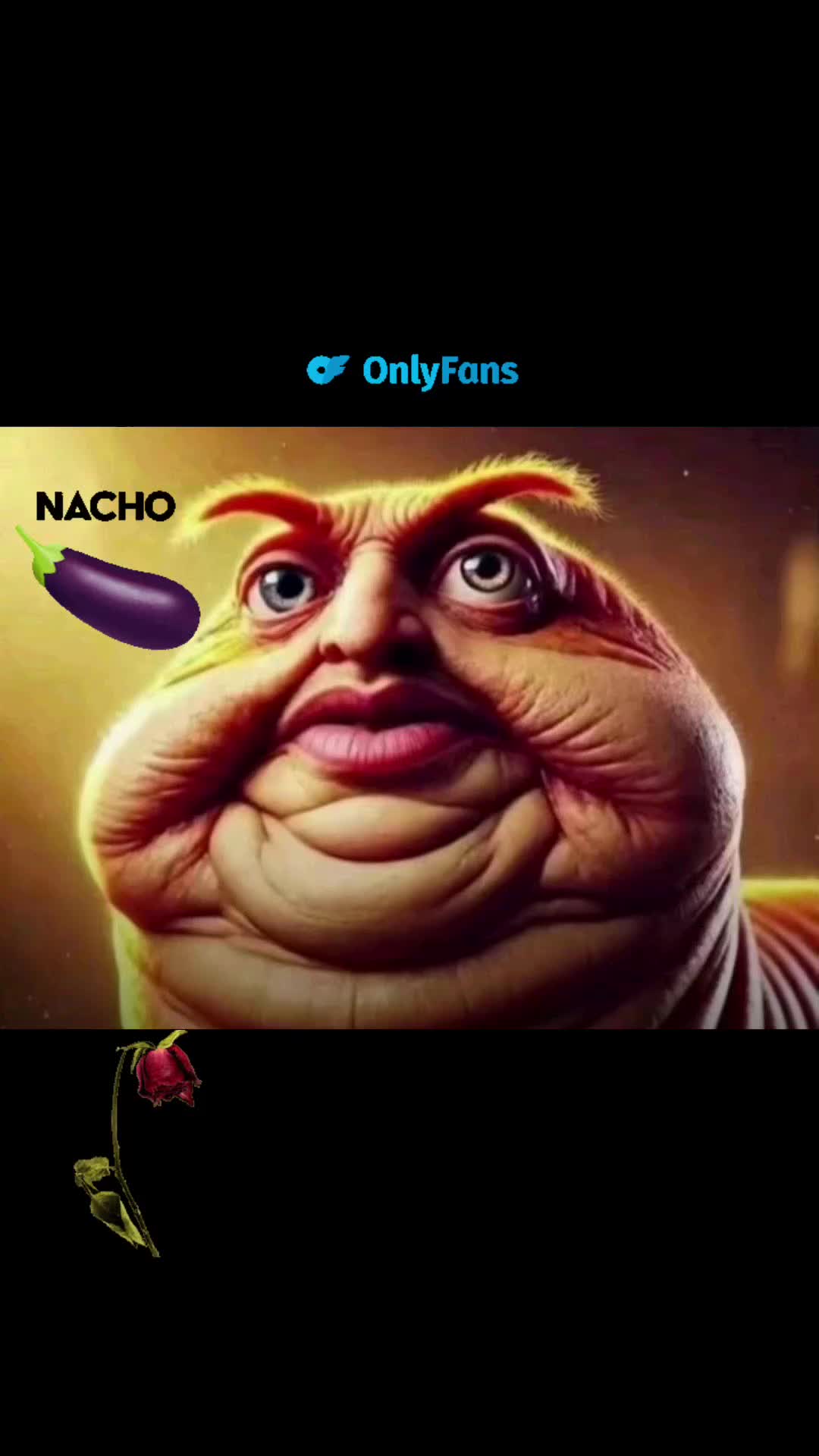 @бебра