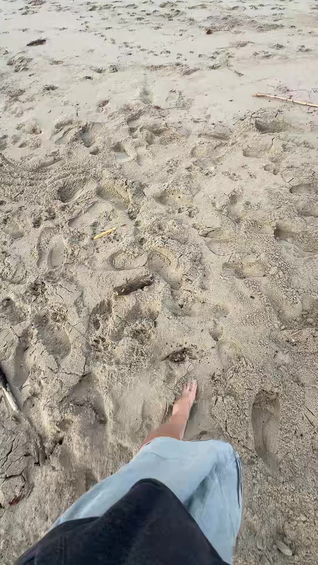@Gigifromhappytwn